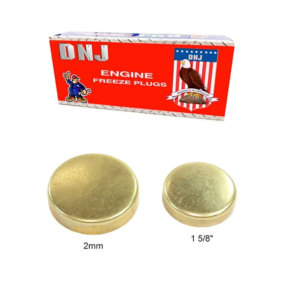 DNJ FPS3165 Expansion Plug Kit Fits Cars & Trucks 99-15 Saab Cadillac 9-7x Ascender 4.8L V8 OHV