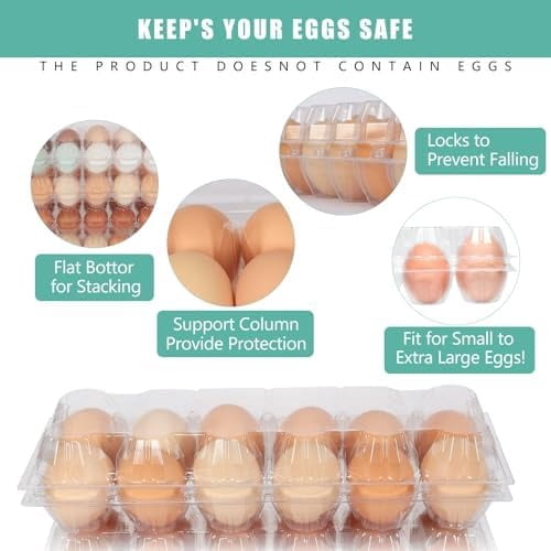 60 Packs 12 Count Clear Egg Cartons, 2 * 6 Grids Design, Perfect for Family, Farm, Markets, Display(Large)