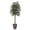 Brown, variant on Vickerman 6' Artificial Capensia Tree, Gray Round Plastic Container, Silk