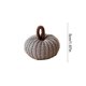 thumbnail image 3 of Calabazas de tela suave de 5 cm | Adornos colgantes preciosos para Halloween, Acción de Gracias y otoño | Juego de 1 | Rosa/Beige/Rojo/Marrón/Morado/Naranja/Gris/Verde, 3 of 6