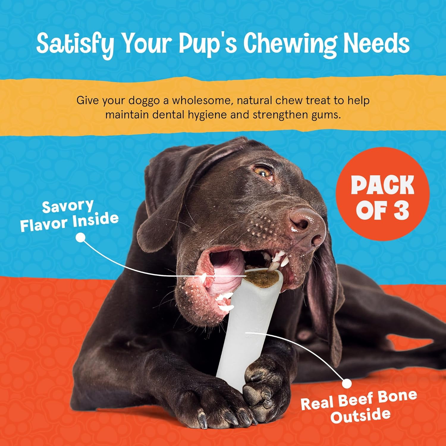Fetcheroni Stuffed Dog Bone - Dog Treat Filled with Flavor for Your Dog - Great for Dog Treat or Training - Long Lasting Dog Chew. (5 to 6 inches, Bully Stick Flavored)
