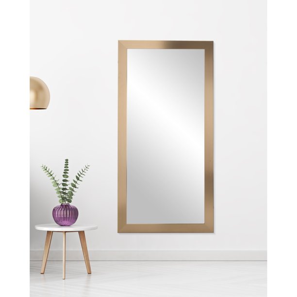 Contemporary Champagne Full Length Mirror 32'' x 66''