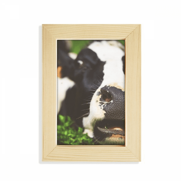 Pcture m Animal Cow Desktop Display Photo Frame Picture Art Painting 5x7 inch