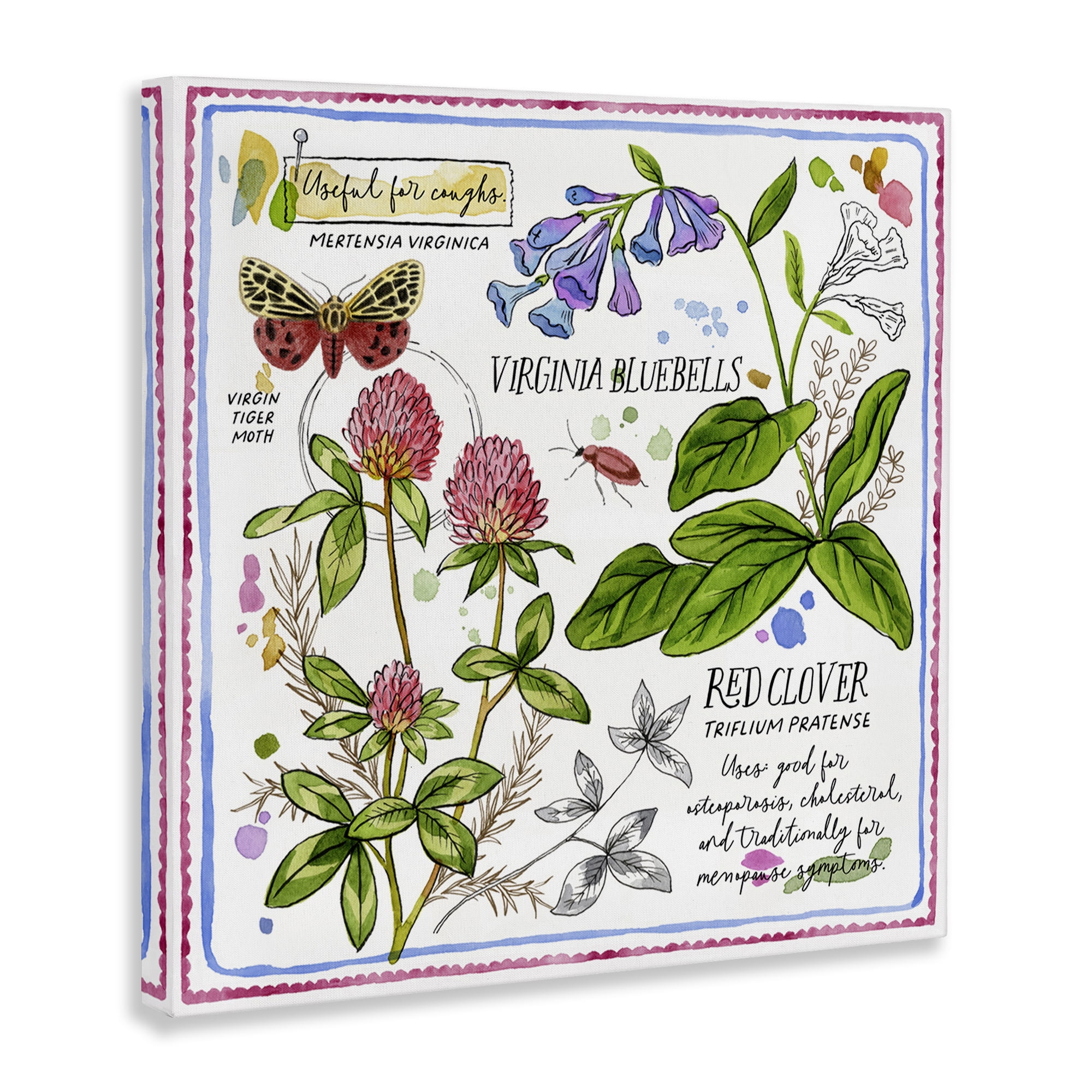 Stupell Industries Wild Herbs Diagram Plants & Flowers Painting Wrapped Canvas Art Print Wall Art, 17 x 17