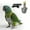 D, variant on EcoNest Secure And Comfortable Bird Leash Harness For Parrots Conures Outdoor Training Flight Control
