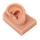 thumbnail image 5 of Modelo de oreja perforadora, práctica de perforación 3D, modelo de oreja de silicona, práctica de perforación, modelo de oreja, rendimiento lleno de energía, 5 of 8