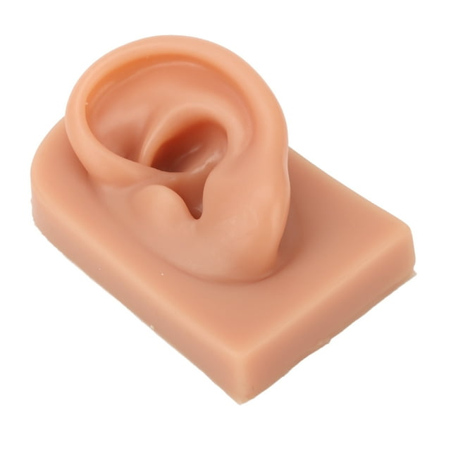 Soft Silicone Ear Model, Reused Ear Displays Mould Soft Professional Ear Piercing Tool 3D Acupuncture Silicone for Piercing Practice Earring Display, Acupuncture, Display Model