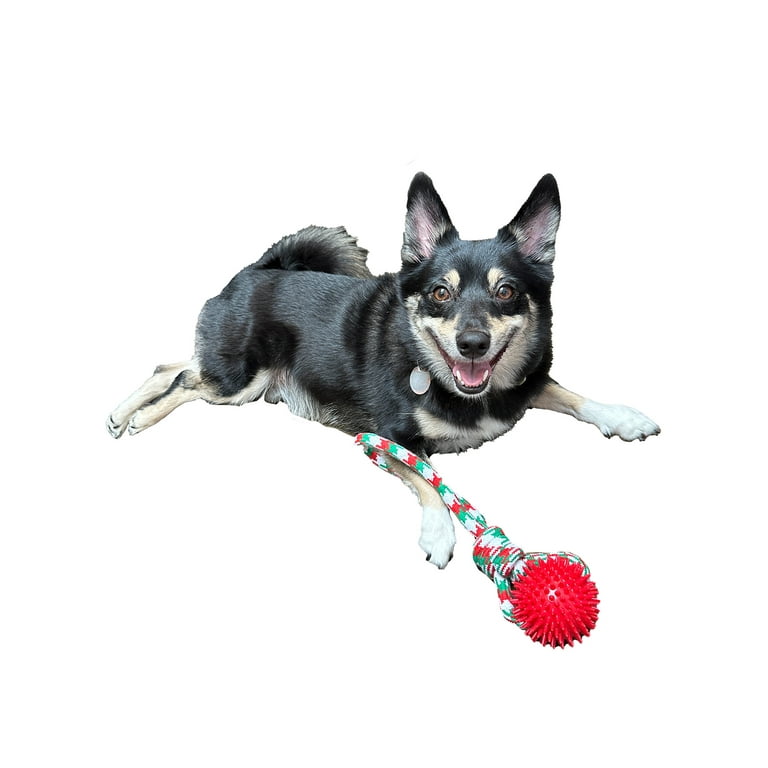 Benepaw Durable Rope Dog Toys Interactive Rubber Training Pet Toy