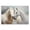 White Country Horses, variant on Stupell Industries Farmhouse Horse Portrait Looking Back Canvas Art, 20 x 16, by Albena Hristova