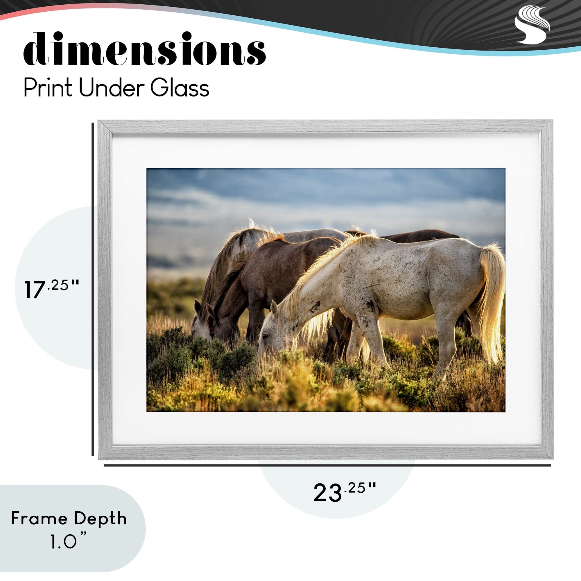 Stupell Industries Equine Evening Graze Gray Framed Print Under Glass, design by Tim West