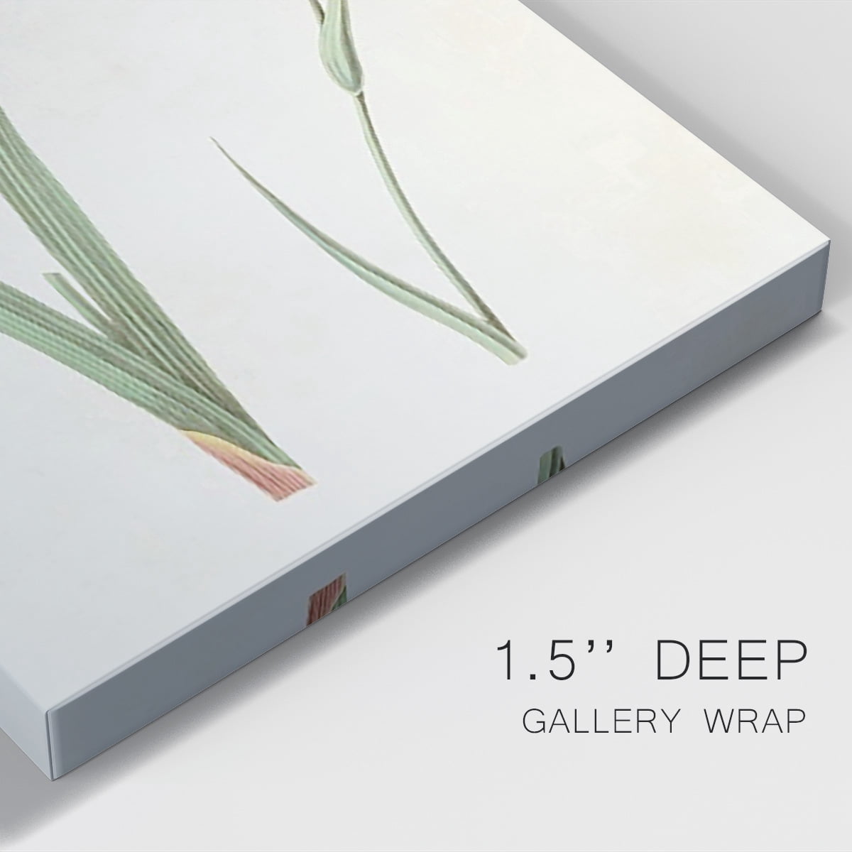 Flowers of the Seasons IV Premium Gallery Wrapped Canvas - Ready to Hang
