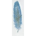 thumbnail image 1 of Feather Collection-III Oil Painting Wall Decor, 1 of 1