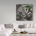 thumbnail image 3 of Trademark Fine Art 'Funky Ferns VI' Canvas Art by Laura Marshall, 3 of 3