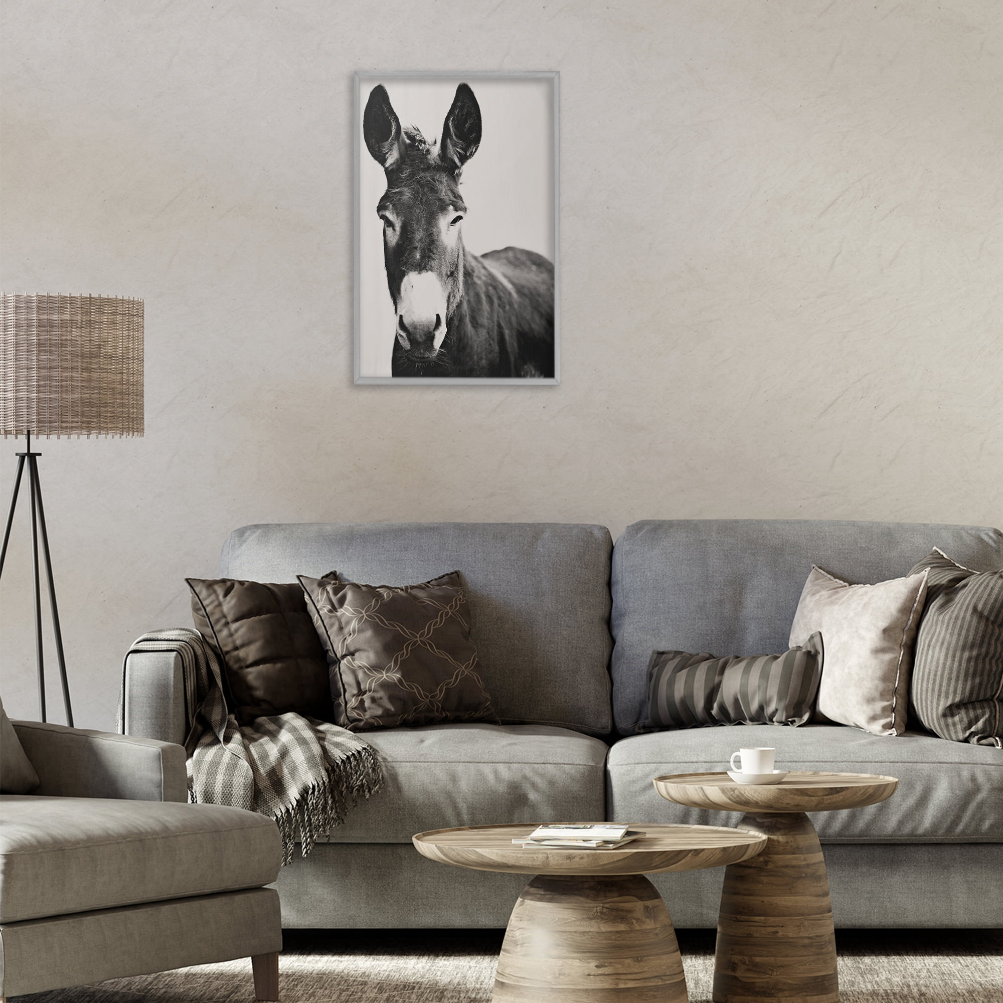 Stupell Industries Franz the Donkey Portrait Gray Framed Giclee Art, design by Amy Carroll