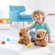 thumbnail image 5 of 30CM Juguete de Peluche de Capibara, Lindo Animal de Peluche de Capibara, Realista Lindo Relleno Capibara Peluche decoración del hogar muñeca de Juguete Suave Regalos para niños Adultos, 5 of 6