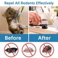 thumbnail image 6 of 8-Pack Rodent Repellent Balls Outdoor, Squirrel Repellent Garden, Outdoor Chipmunk Repellent, Peppermint Rodent Deterrent Indoor, Garden Squirrel Repellant, Squirrel Stopper for Pumpkins, 6 of 6