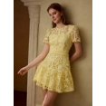 thumbnail image 6 of Yellow Guipure Lace Mini Dress With Short Sleeves And Flared Skirt, 6 of 6