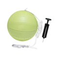 thumbnail image 3 of Pelota y cuerda de tetherball con bomba para jugar al aire libre en de juegos de la playa Verde, 3 of 8