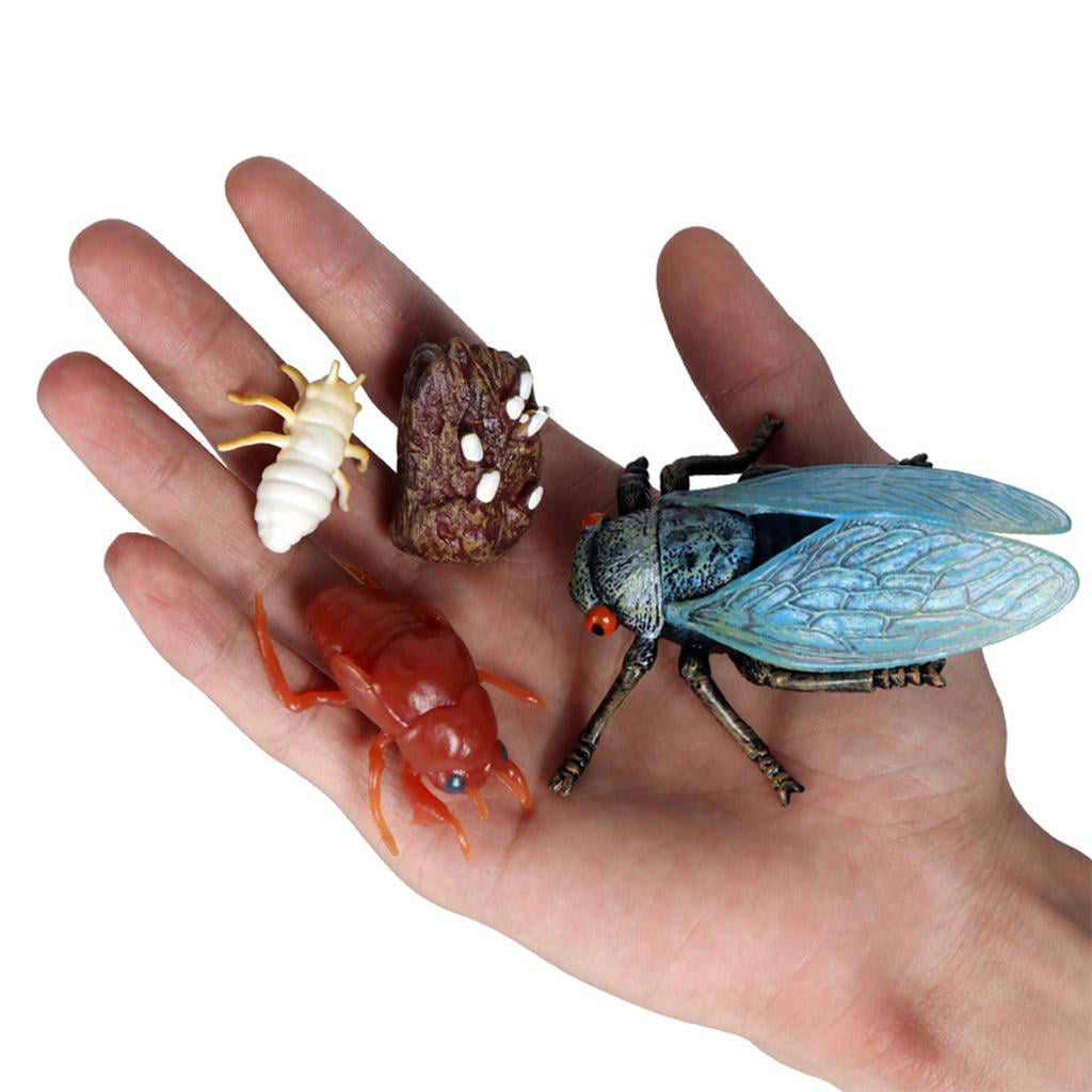 Insects Plastic Cicada Toy Figure Authentic Hand Details about   4 Piece Life Cycle Figures 
