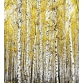 thumbnail image 3 of Ambesonne Autumn Duvet Cover Sets, Forest Golden Leaves, 2-King, Yellow Grey, 3 of 7