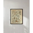 thumbnail image 6 of HAUS AND HUES Vintage Adolphe Poster & Chart - Adolphe Millot Poster Cottagecore Wall Decor | Adolphe Millot Print & Plant Poster Vintage Botanical Prints & Botanical Poster (16x20, Black Framed), 6 of 6
