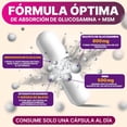 thumbnail image 2 of Suplemento de Sulfato de Glucosamina 800 MG con MSM | Complejo para Alivio del Dolor Articular | Soporte de Cartílago para Mujeres y Hombres | Fabricado en Holanda | 90 Cápsulas, 2 of 7
