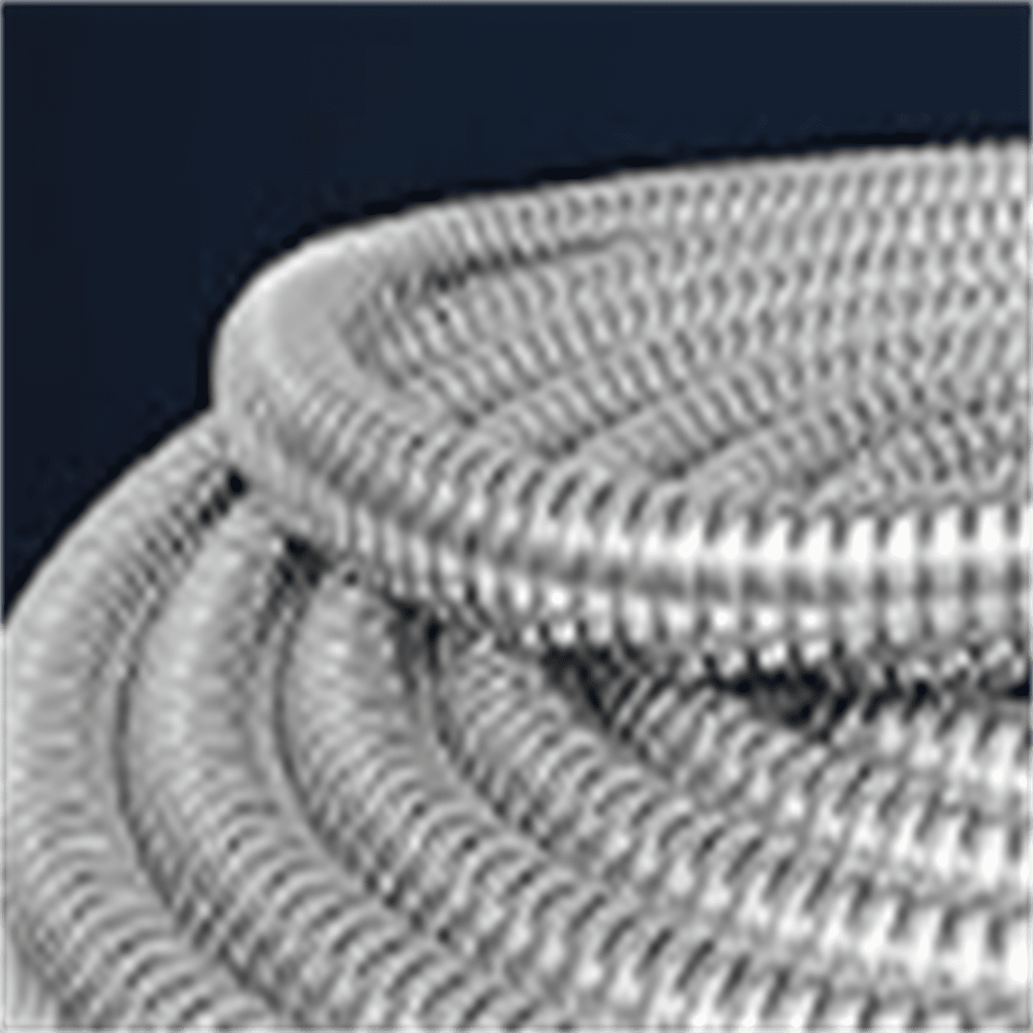 Garden Hose 15FT - 304 Stainless Steel Metal Water Hose, Flexible, Kink-Free, Lightweight, Durable, Crush Resistant Fittings, Easy to Coil, 500 PSI