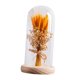 thumbnail image 1 of Regalos de flores para iluminar flores en cúpula de cristal, regalos del Día de San Valentín, lámpara LED de mesa para cafetería, fiesta, aniversario madera Yinane lámpara de noche, 1 of 8