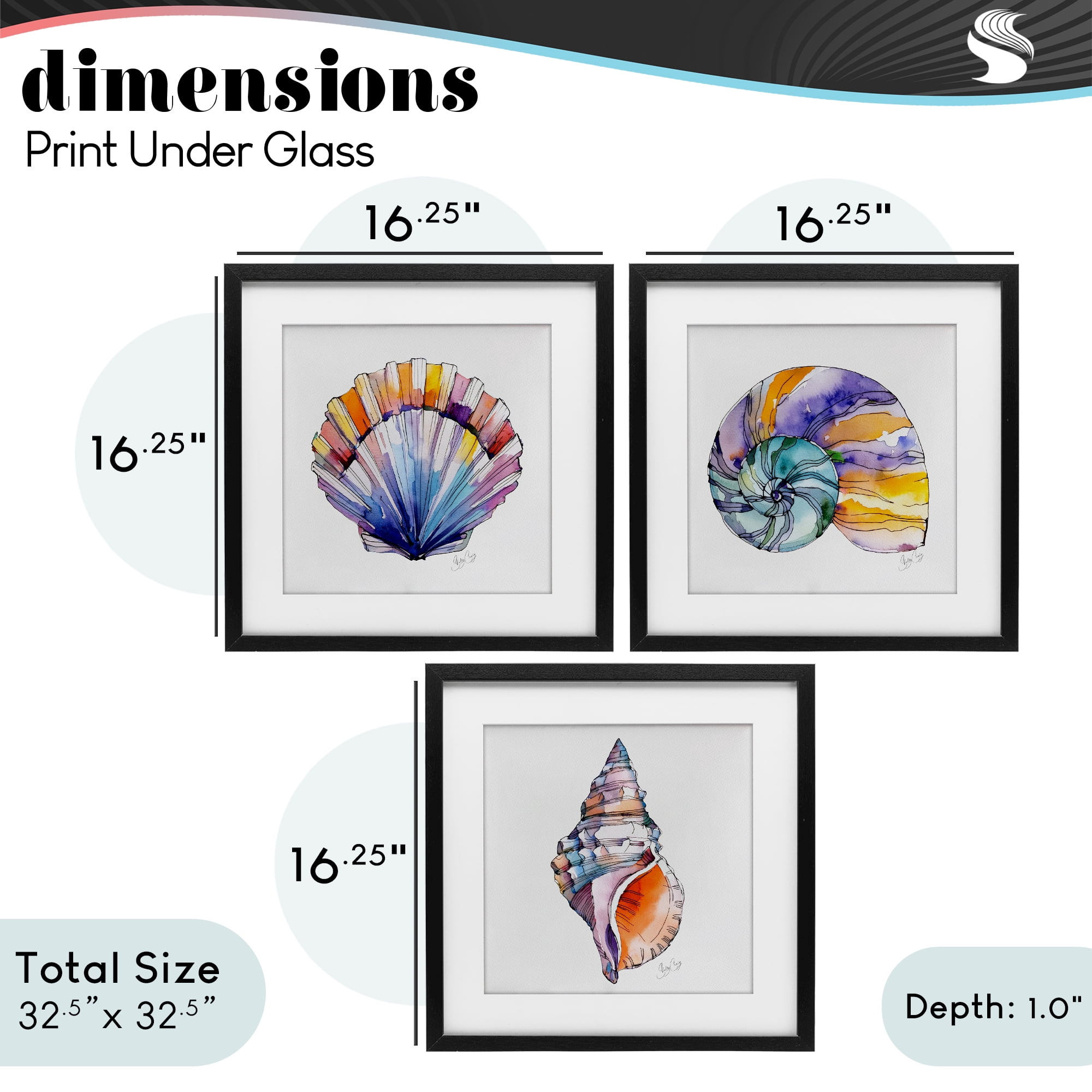 Stupell Industries Sunlit Seashells Watercolors 3 Piece Black Framed Print Under Glass Set, design by Shelly Craig