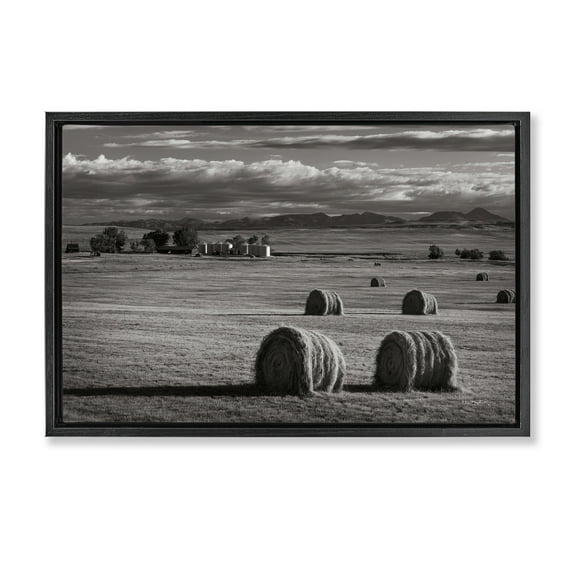 Stupell Industries Montana Hay Bales Landscape & Nature Photography Black Floater Framed Canvas Art Print Wall Art, 25 x 17