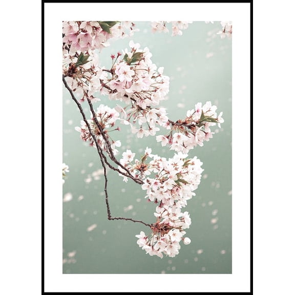 Cherry Blossom Poster Wall Art, Modern Wall Decor For Living Room Bedroom, 8x12 UNFRAMED