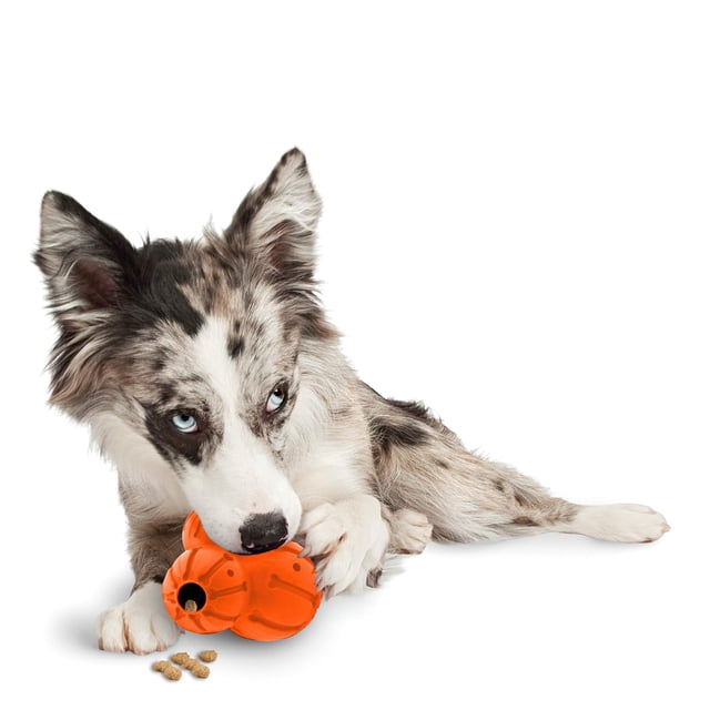 Juguete masticable PetSafe Sportsmen Barnacle para mascotas medianas
