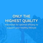 Host Defense Breathe Extract - 1 fl oz (30 Servings)