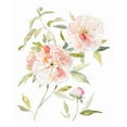 thumbnail image 3 of Robinson, Carol 20x24 Black Modern Framed Museum Art Print Titled - Sketchbook Cottage Rose II, 3 of 5