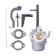thumbnail image 3 of Desde China BLT-008 Carburador para Briggs & Stratton 796321 696132 696133 796322 699958 Carburador de repuesto para quitanieves, 3 of 6