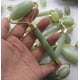 thumbnail image 2 of Rodillo Facial de Jade Dreamy Skin masaje Relaja tonifica, 2 of 6