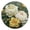 Gold, variant on Round Art Wall Clock Vintage Oil Painting Texture Decorative Clock Gold Pointer, Multi-Purpose Desktop & Hanging Creative Decor Clock for Home Living Room White Peony Olive Green