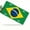 Brazilian Flag, variant on License Plate, Cat and Butterflies Decorative Front,Personalized Stainless Steel License Plate Cover For Men Women,12.2" X 6.2"