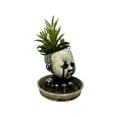 thumbnail image 6 of Halloween24x7 220-White Creepy Baby Doll Head Planter with Saucer, Distressed White, 6 of 9