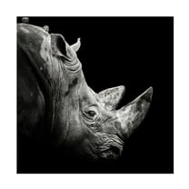 Christian Meermann 'Rhino' Canvas Art