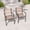 Taupe, variant on ACEGOSES Outdoor Patio Dining Chairs Set of 2, Stackable Textilene Chairs for Garden, Porch and Poolside, Gray