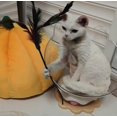 thumbnail image 4 of FINE MAKER Space Capsule Cat Bed - with trackball, all-season acrylic space capsule cat bed, transparent indoor pet house suitable for small pets, 4 of 5
