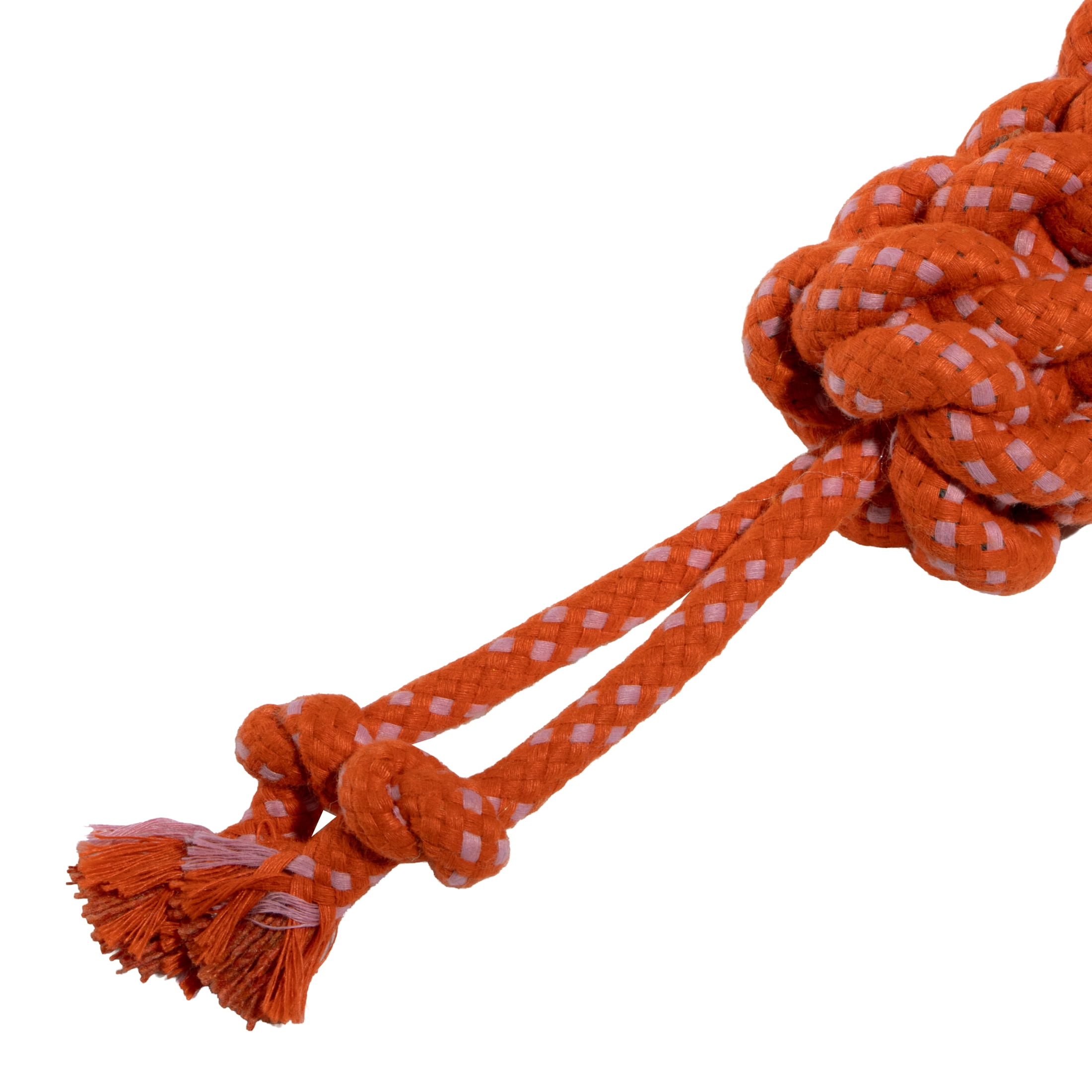 Oodles Durable Lasso Rope Dog Toy Set, Multicolored, Small