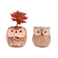 thumbnail image 2 of CSCHome Durable Flower Pots Succulents Plants Pots 2PCS Owl Planter Ceramic Flower Pots, 2 of 6