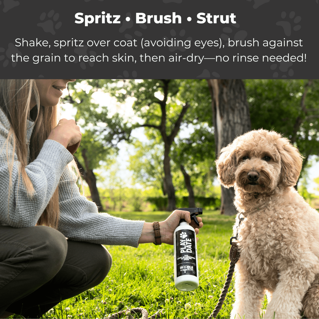 Doodle Me This Kingston & Hamilton Dog Leave in Conditioner Spray - Papaya Citrus - 17 oz