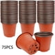 thumbnail image 1 of De Maceta De Plástico Para Plantas, Vivero, Maceta Para Trasplantar Semillas, Contenedor, Decoración De Jardín 75 Piezas Scienceny HA044441-03, 1 of 6