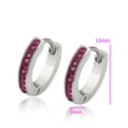 thumbnail image 2 of Arracadas Chicas P/ niña adulto Swarovski Oro Blanco 14K Lam fucsia Unitalla, 2 of 6