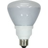 GE 21709 Energy Smart 15 Watt R30 Dimmable CFL Floodlight