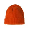 thumbnail image 2 of Champion - MmF - Ribbed Knit Cap, 2 of 4