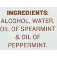 McCormick Pure Mint Extract, 1 fl oz
